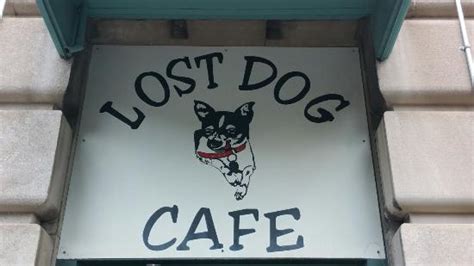 lost dog cafe catering