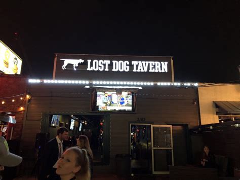 lost dog tavern
