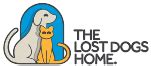 lost dogs home cats