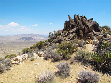 lost horse mine trail joshua tree