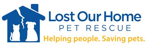 lost our home dog rescue