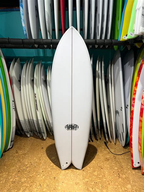 lost round nose fish