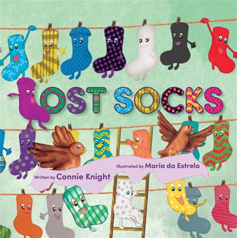 Lost Socks Book