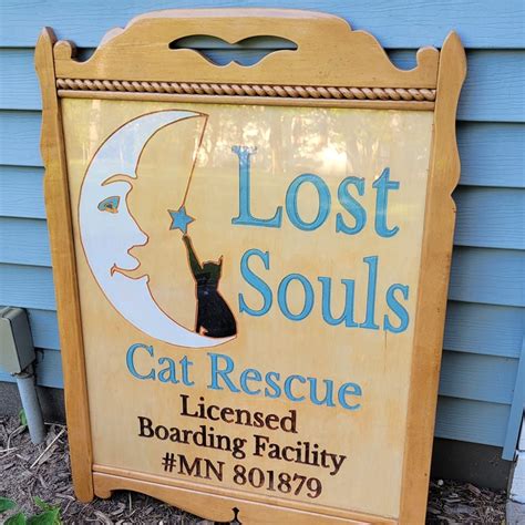 lost souls cat rescue