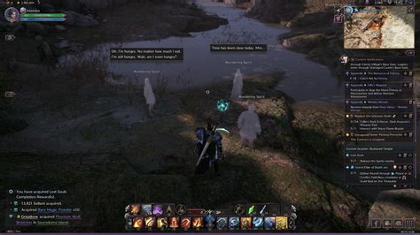 Lost Souls Walkthrough