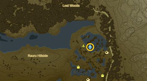 Lost Woods Walkthrough Botw