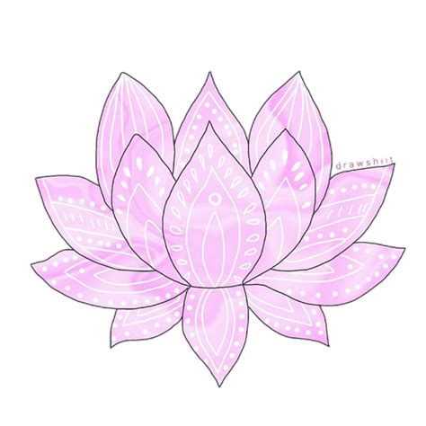 lotus flower petal png