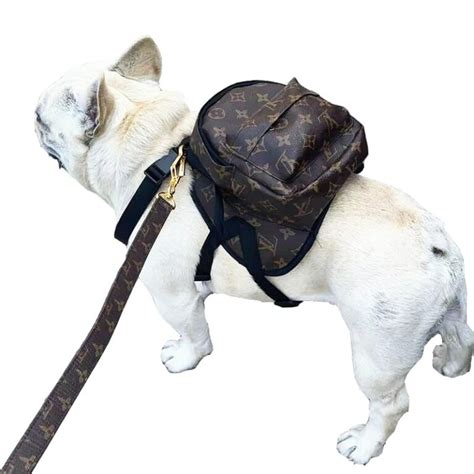 Louis Vuitton Dog Backpack Collar