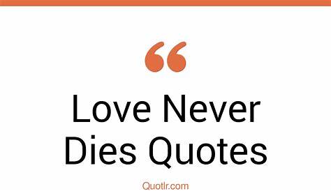 Love Never Dies - Andrew Lloyd Webber