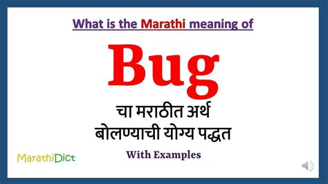love bug meaning in marathi with example