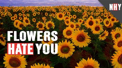 Love Flowers Hate