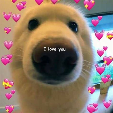 Pin by Bambi peaches on wholesome love Cute love memes, Cute memes