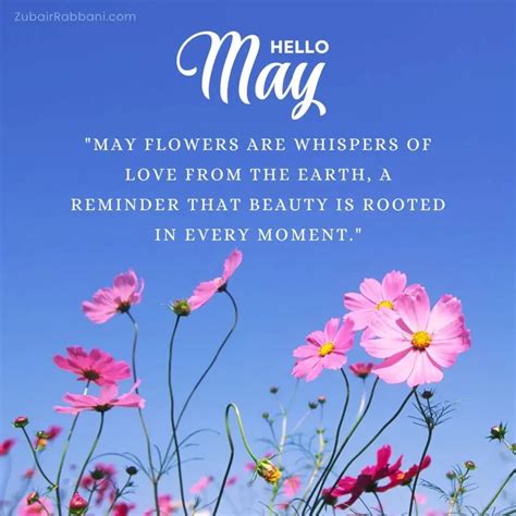 Love May Quote