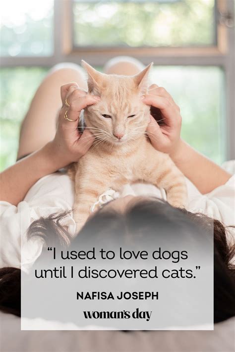 Loving A Cat Quotes