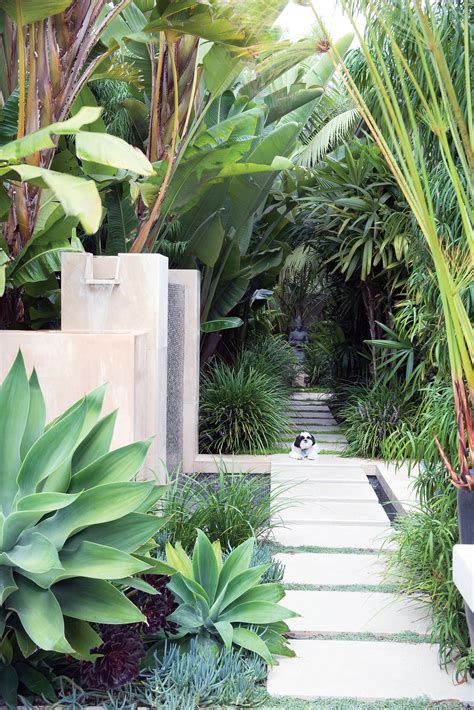 Low Maintenance Tropical Garden Design santrimedia.id