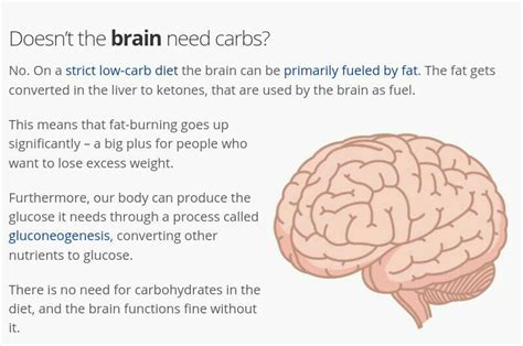 Low Carb And Brain Function