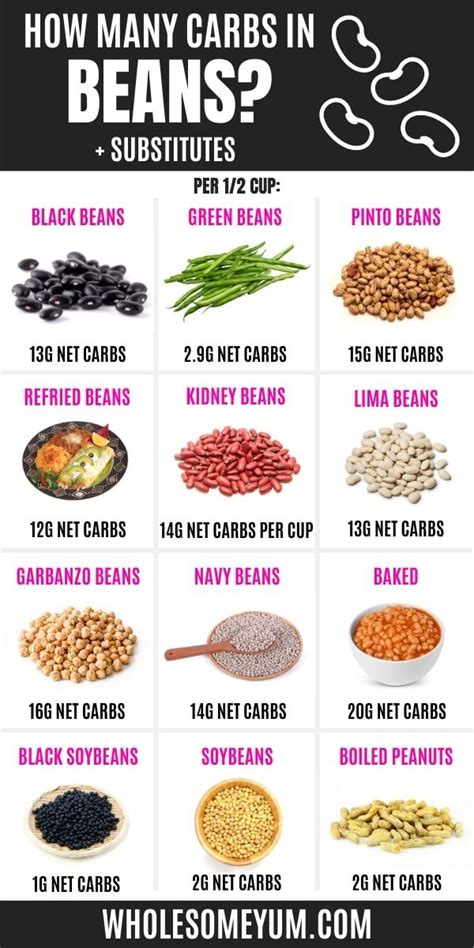 Discover the Top Low Carb Beans for a Healthy, Balanced Diet