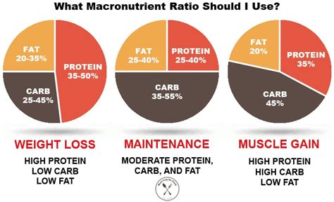 Low Carb Diet Macro Split