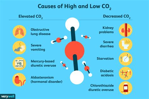 What Do Low CO2 Levels in Your Home Mean and How to Address Them