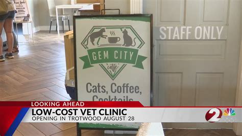 low cost vet clinic spring tx