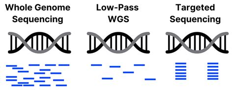 Low Coverage Genome Sequencing