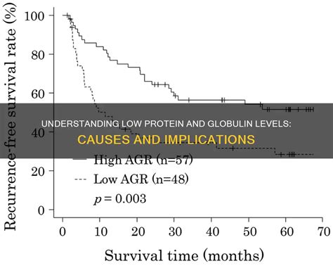 Understanding Low Globulin Protein: Causes and Health Implications