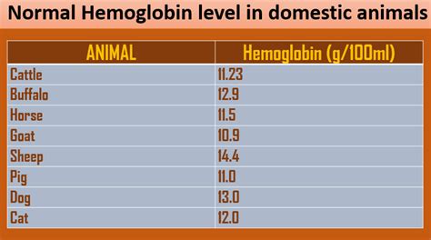 low hemoglobin in horses