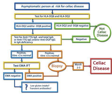 low iga and celiac disease
