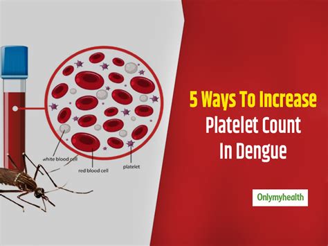 low platelet count in dengue