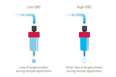 Low Protein-Binding Capacity