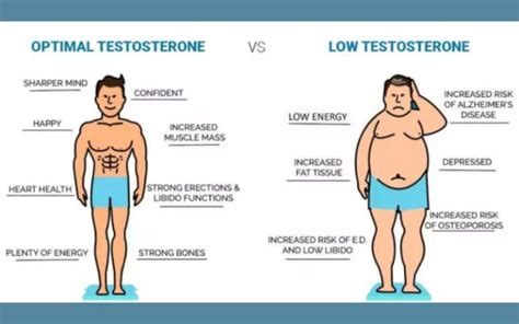 Low Testosterone Cause Weight Gain