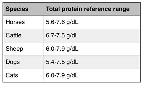 Understanding Low Total Protein Lab Values: Causes, Implications, and Next Steps