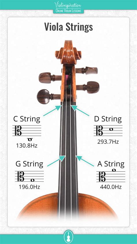 Low Viola Strings