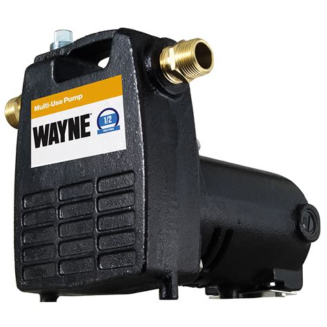 lowe's transfer pump