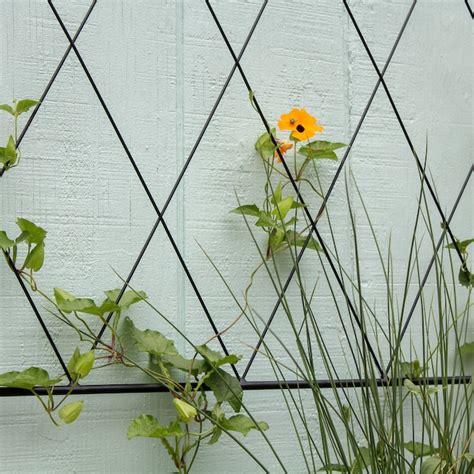 Lowe's Trellis Designs