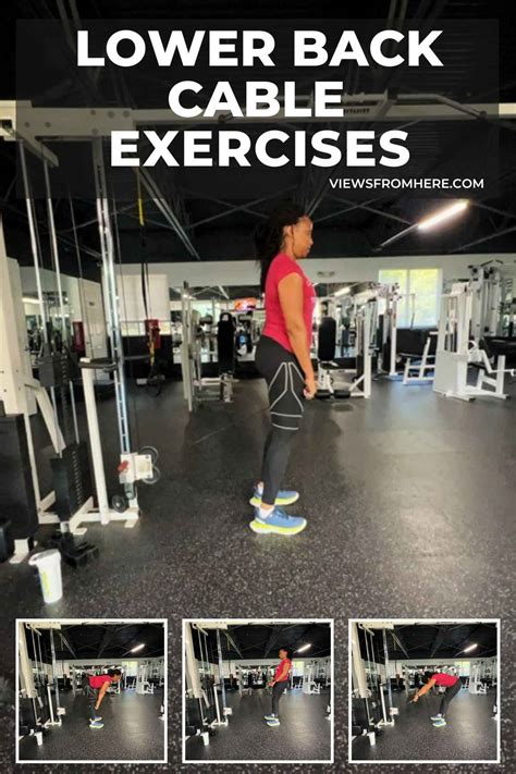 lower back cable exercises
