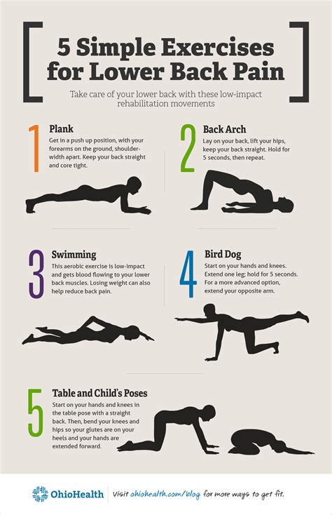 lower back pain relief exercises