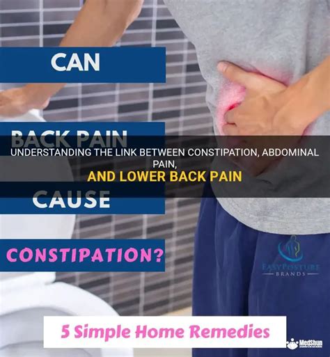Lower Back Pain Vs Constipation