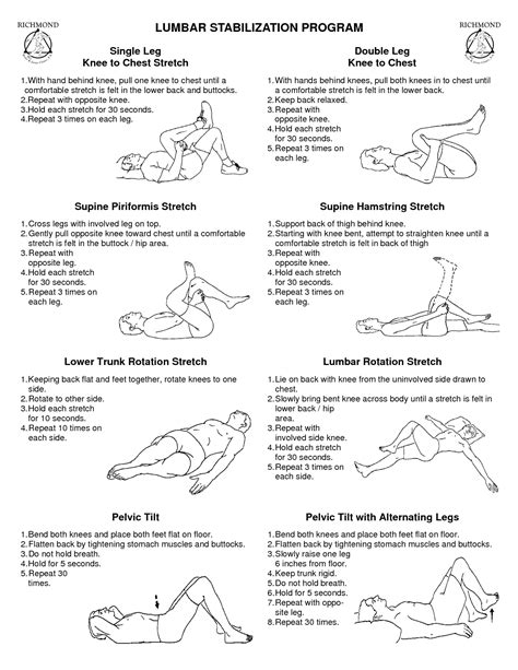 lower back physical therapy exercises pdf