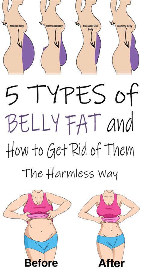 lower belly fat women