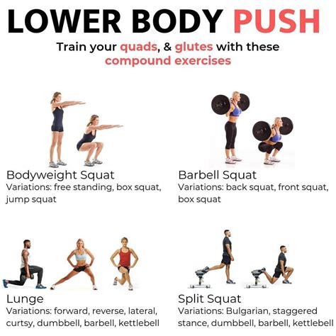 lower body push and pull exercises