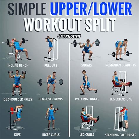 lower body push exercises with weights
