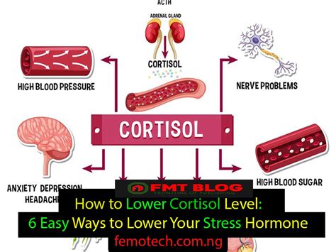 Discover 5 Proven Strategies to Lower Cortisol Levels and Unlock a Healthier You