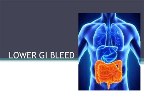 Understanding Lower GI Bleed: Causes, Symptoms, and Effective Treatment Options