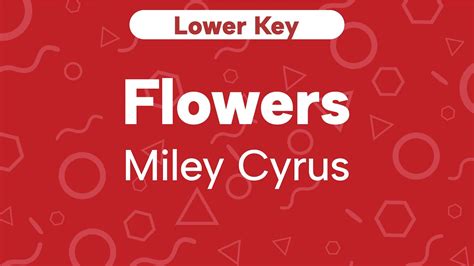 Lower Key Cover
