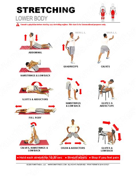 lower limb stretching exercises pdf