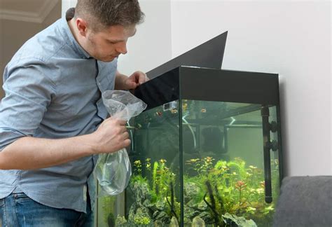 Lowering pH in a Fish Tank