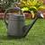 lowes watering can