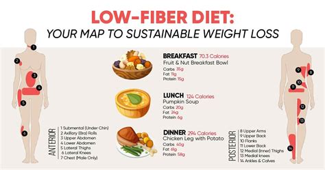 Low Fiber Diet Menu Examples for Digestive Health