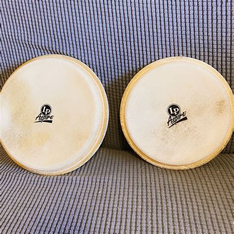 Lp Aspire Bongo Replacement Heads